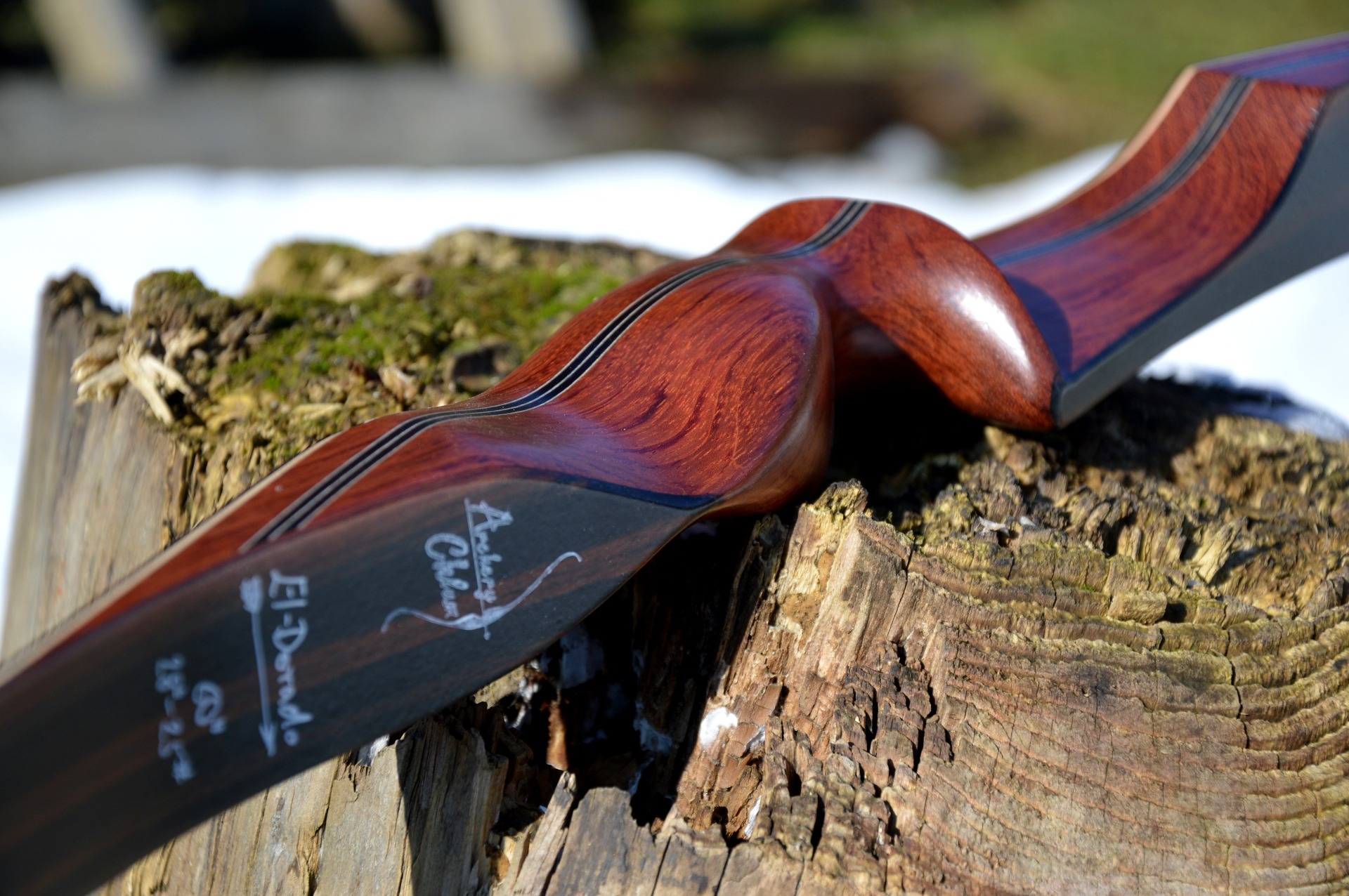 El Dorado Archery David Chlum